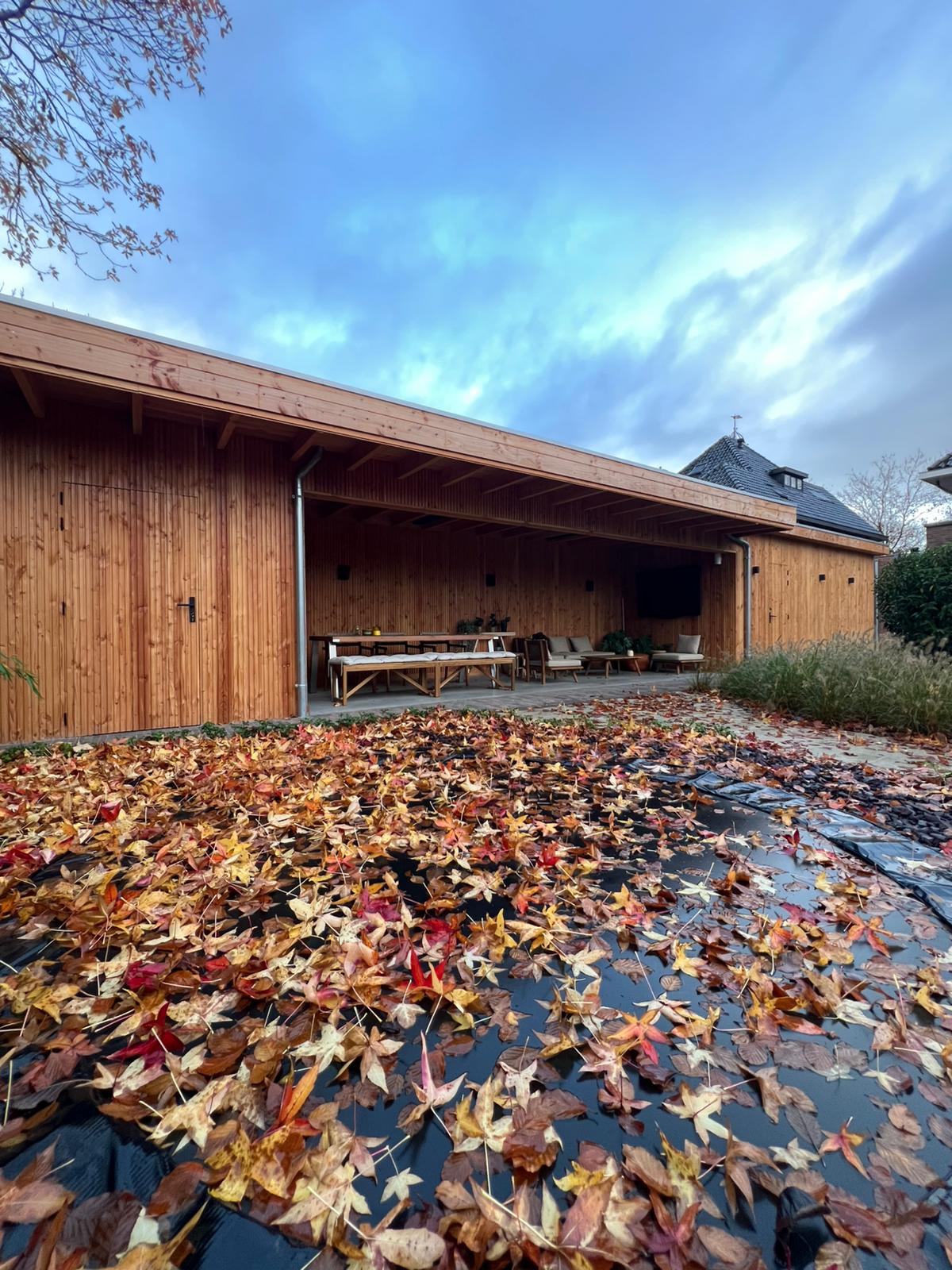 image comparison after